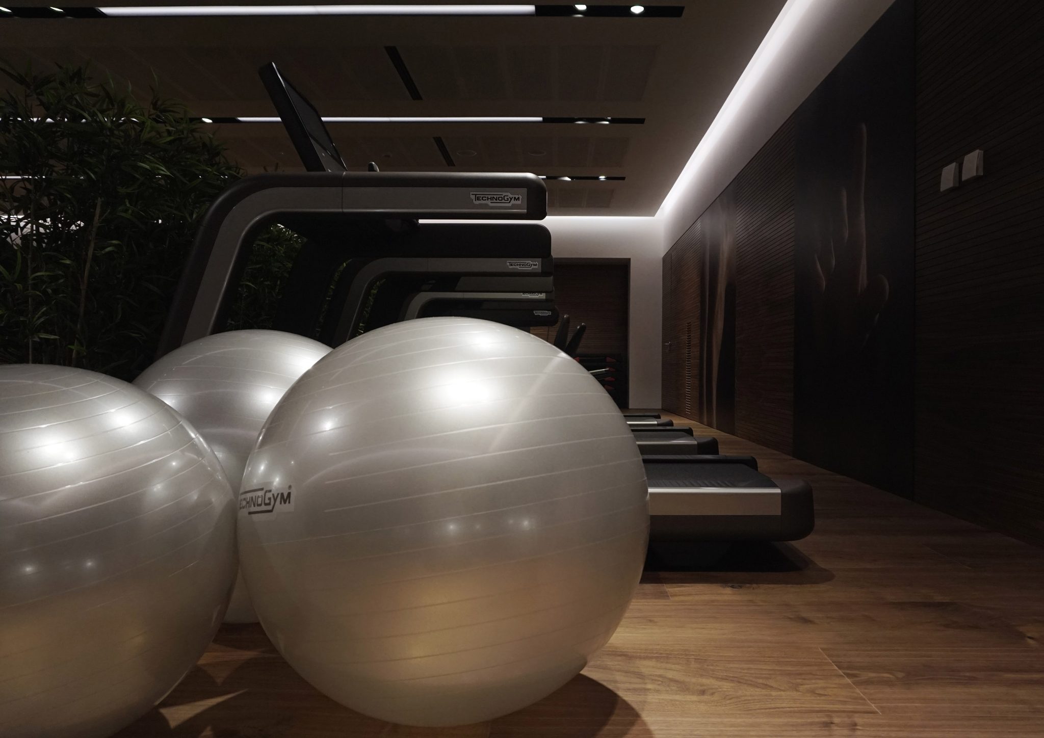 BPM Fitness Club, area cardio con rivestimento a pavimento e a parete in noce con dettaglio su wellness ball