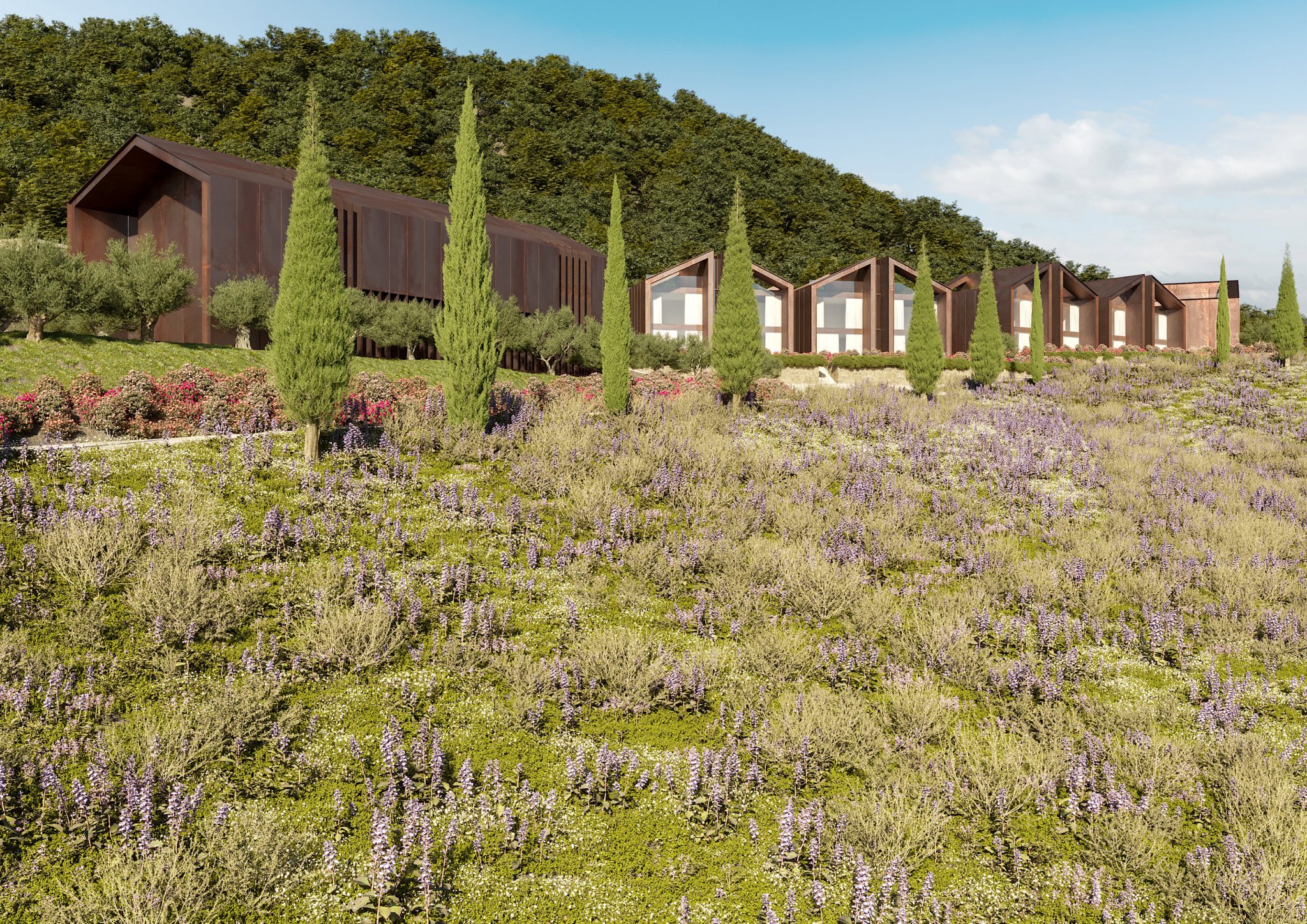 Fonte alla Lepre Resort, vista esterna sull'intervento con edificio servizi e lodge bifamiliari